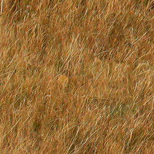 dry grass square